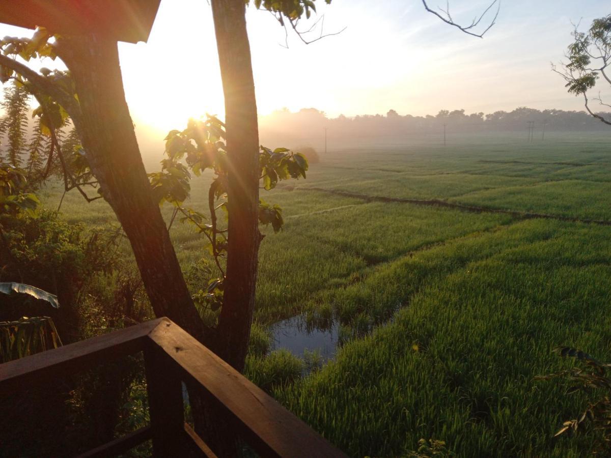 Sigiriya Paddy Field Hut Βίλα Εξωτερικό φωτογραφία