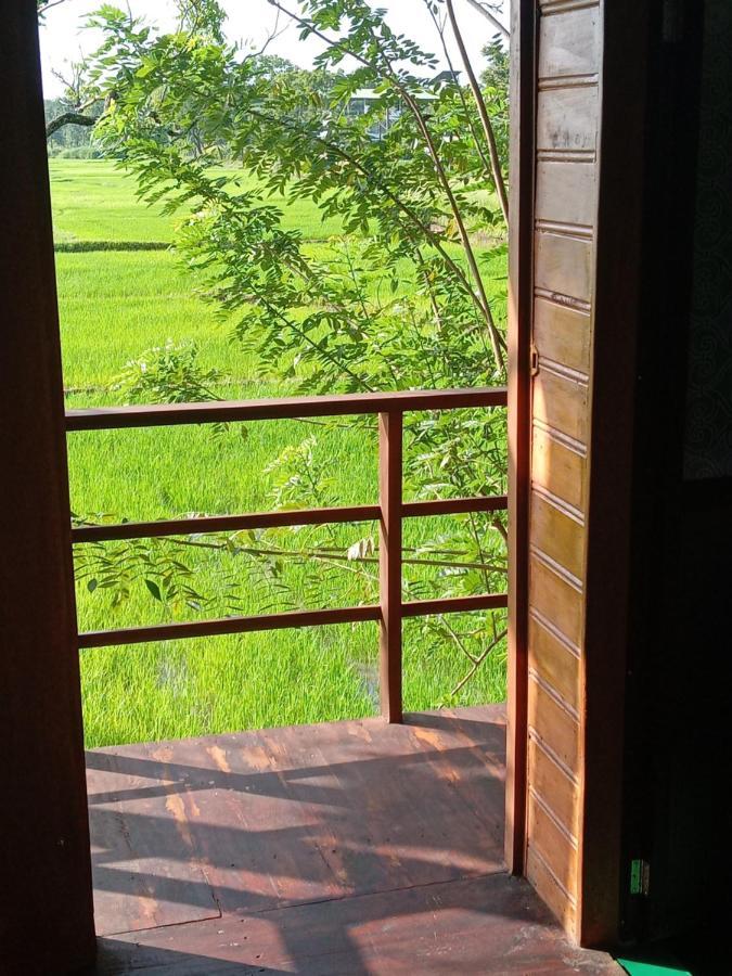Sigiriya Paddy Field Hut Βίλα Εξωτερικό φωτογραφία